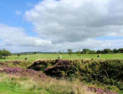 2007_0826GHGC-20070075